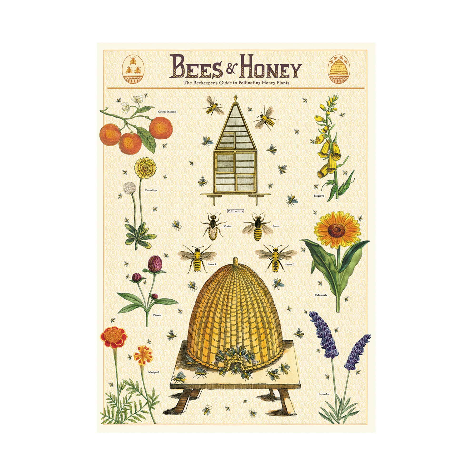 Enchanting Bees & Honey Decorative Wrap