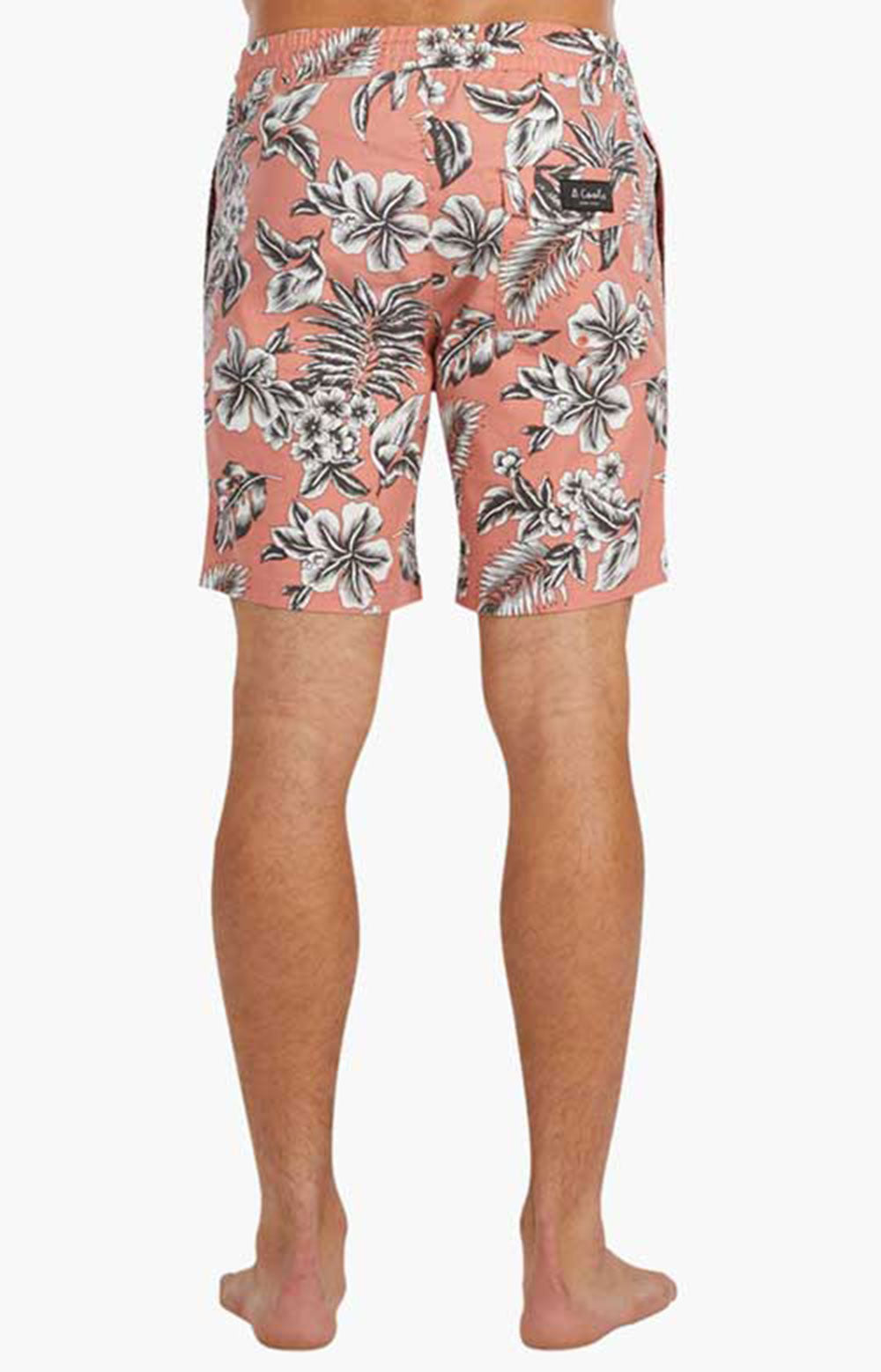 Stunning Amphibious Shorts - Rose Fern