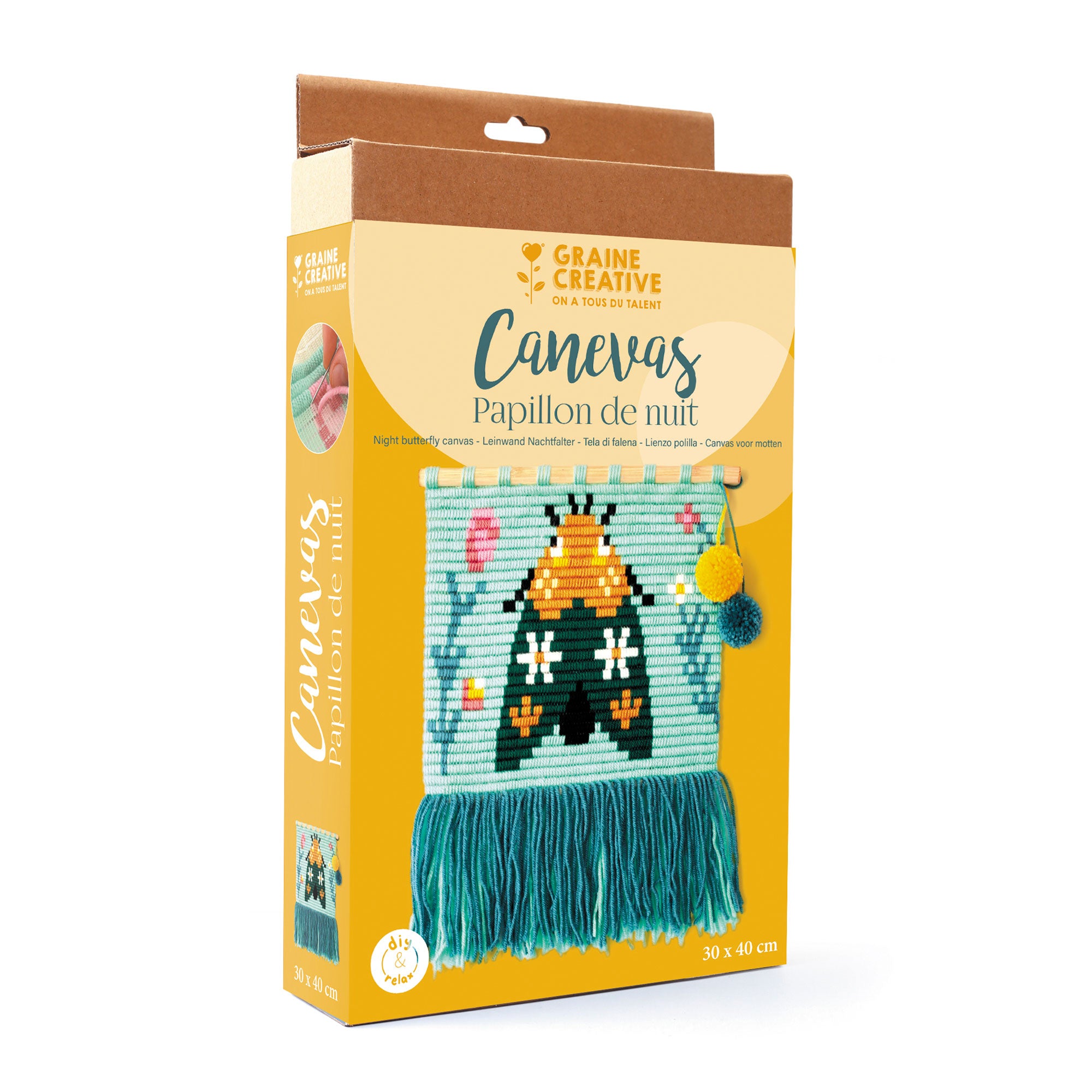 Enchanting DIY Moth Canvas Kit