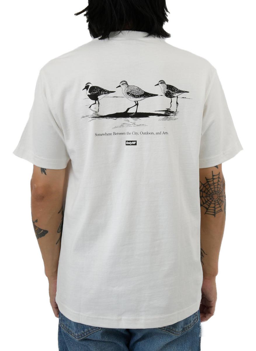 Coastal Breeze Earthy Tone Tee - A Must-Have