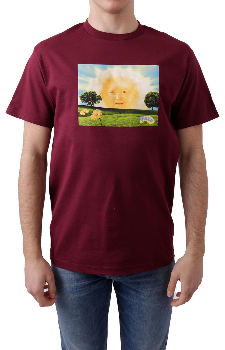 Stunning Hazzy Burgundy T-Shirt