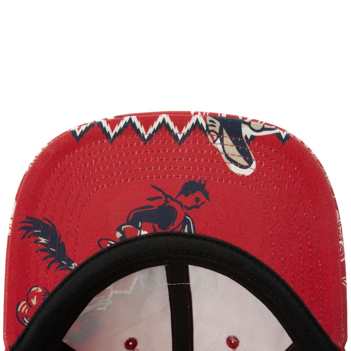 Stunning Daytrotter Dad Hat - A Must - Have!