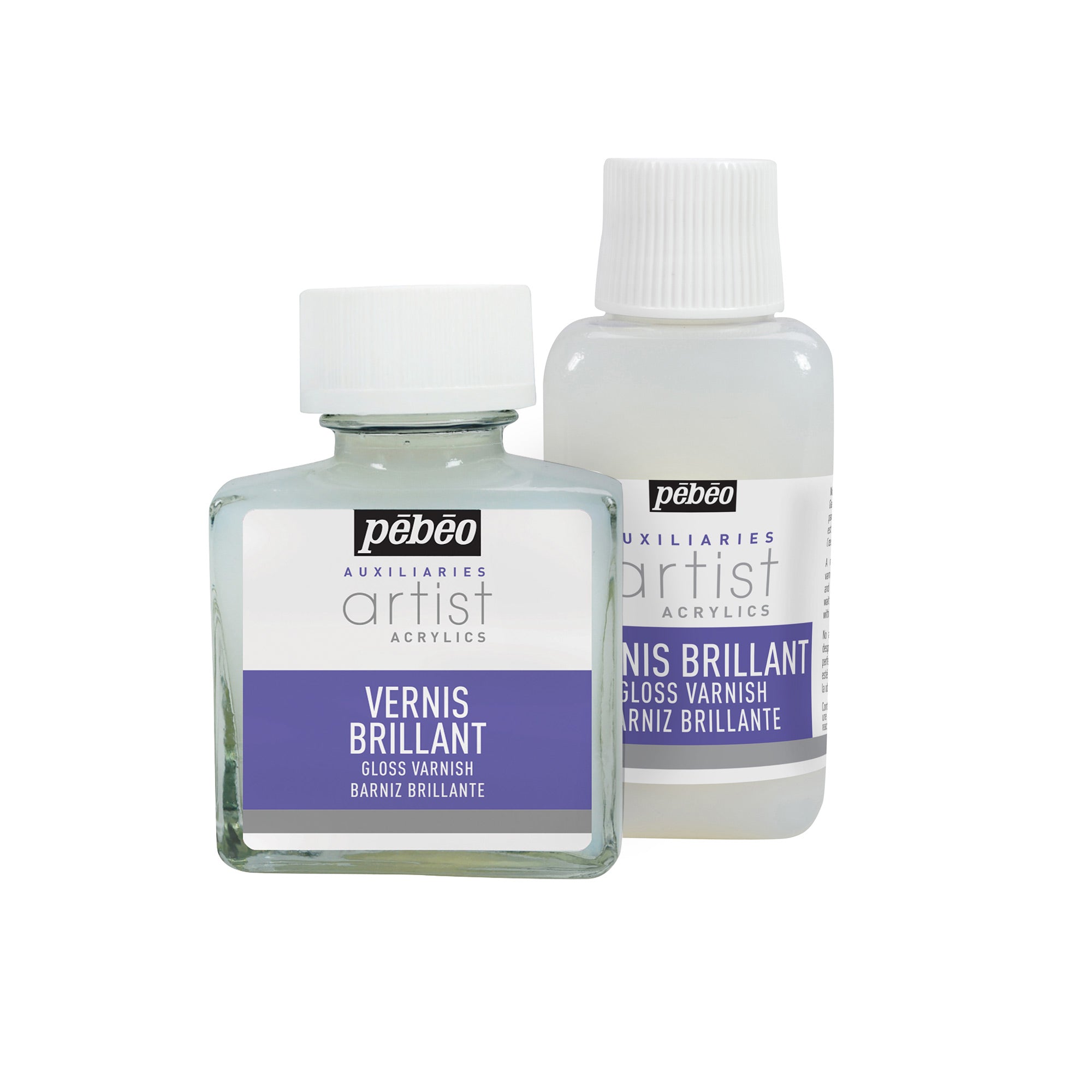 Pebeo Artist Acrylics Gloss Varnish - Elevate Your Art!