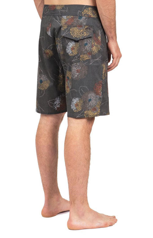 Brixton's Stunning Black/Gold Barge Trunks