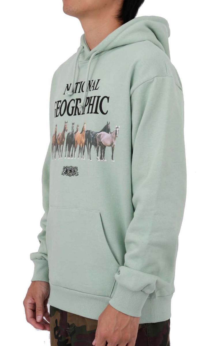 National Geographic's Stunning Light Green Wild Horses Hoodie