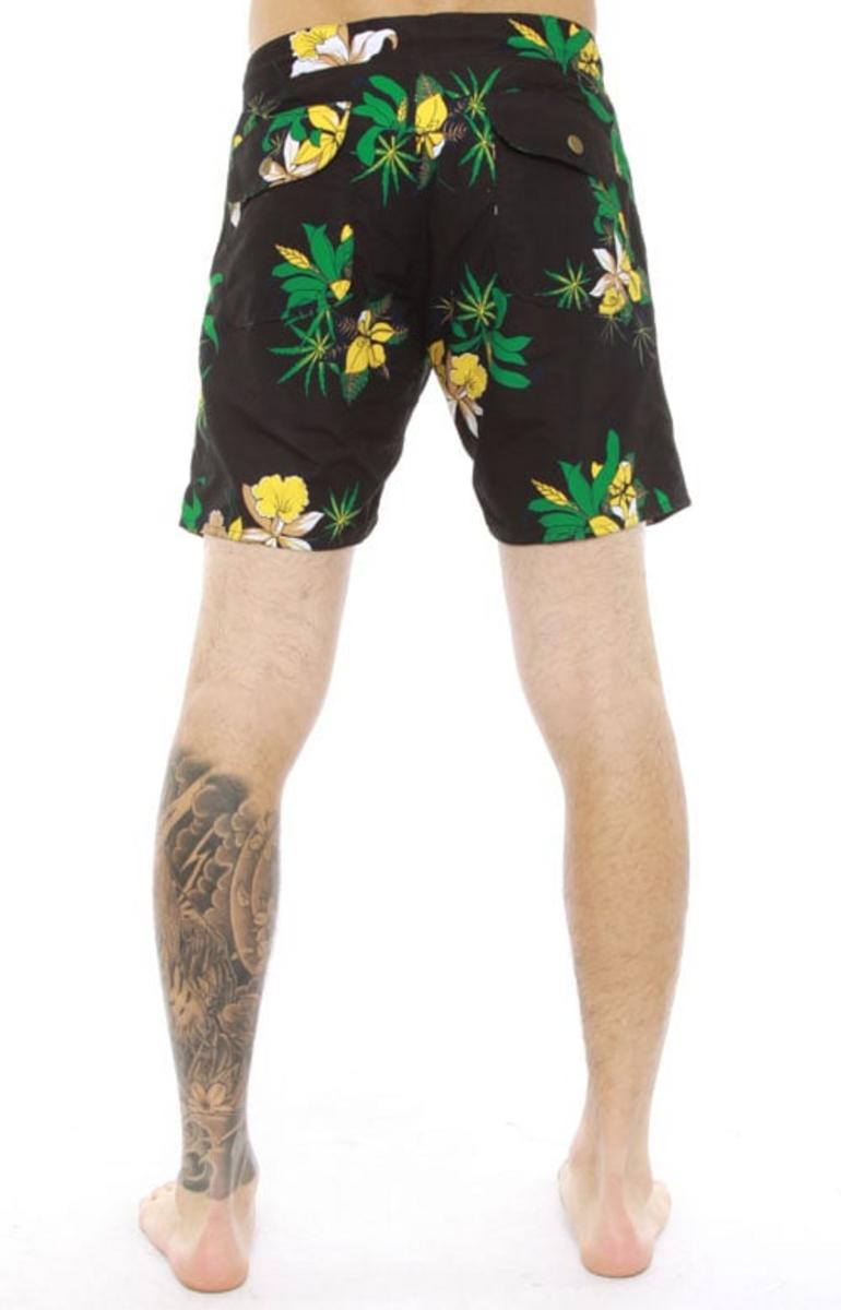 Obey's Stunning Tourist Street Trunks