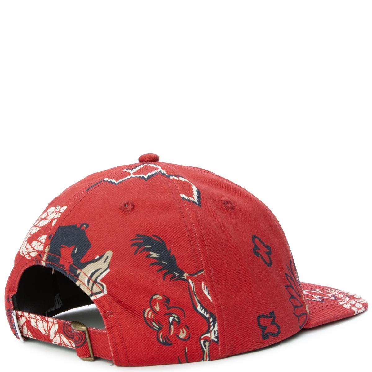 Stunning Daytrotter Dad Hat - A Must - Have!