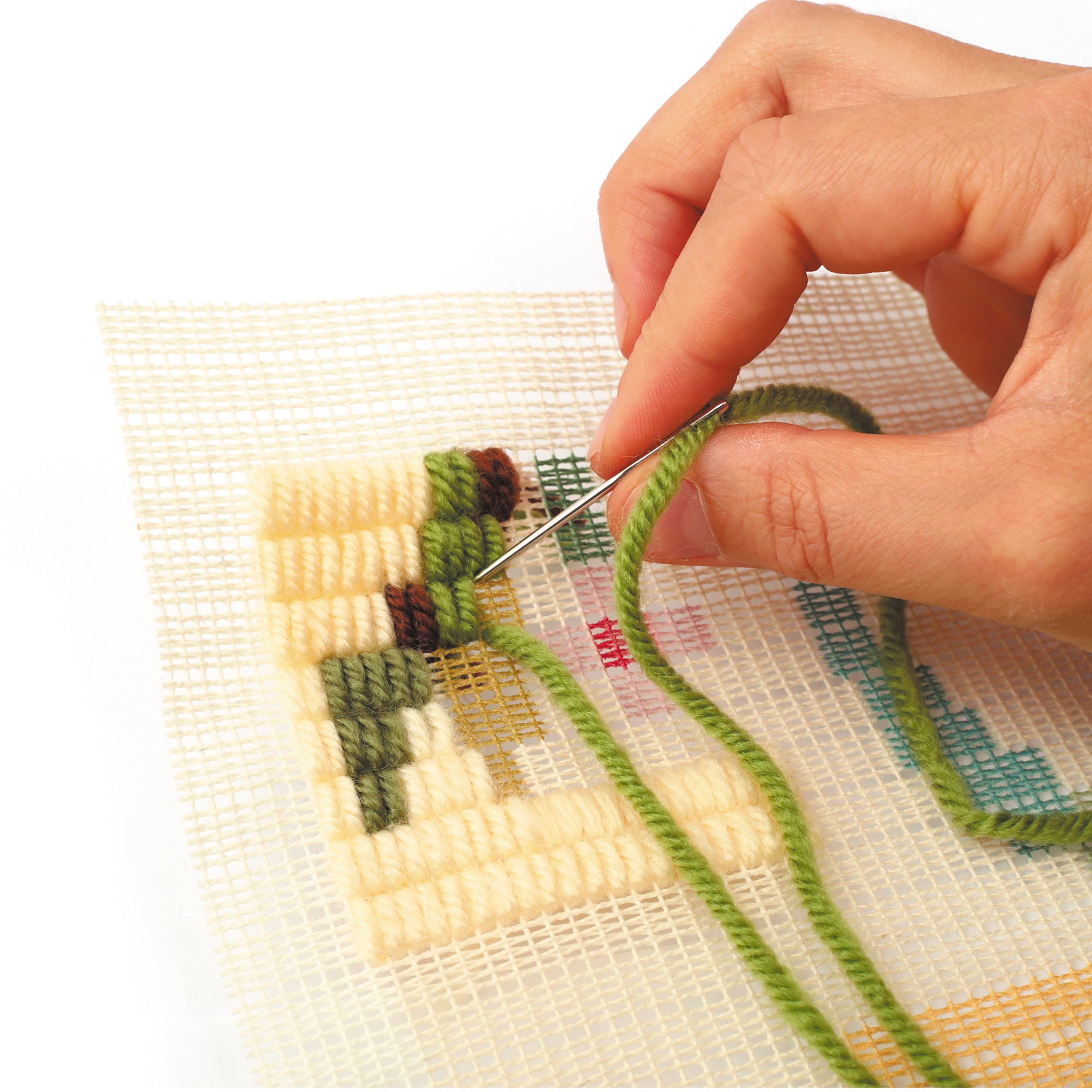 DIY Beetle Canvas Kit - Unleash Your Creativity!