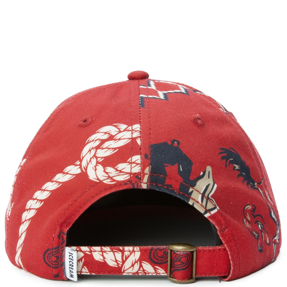 Stunning Daytrotter Dad Hat - A Must - Have!