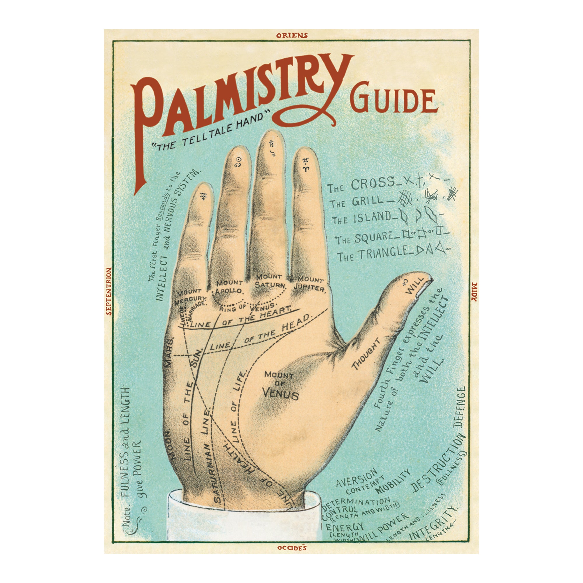 Enchanting Palmistry Decorative Wrap