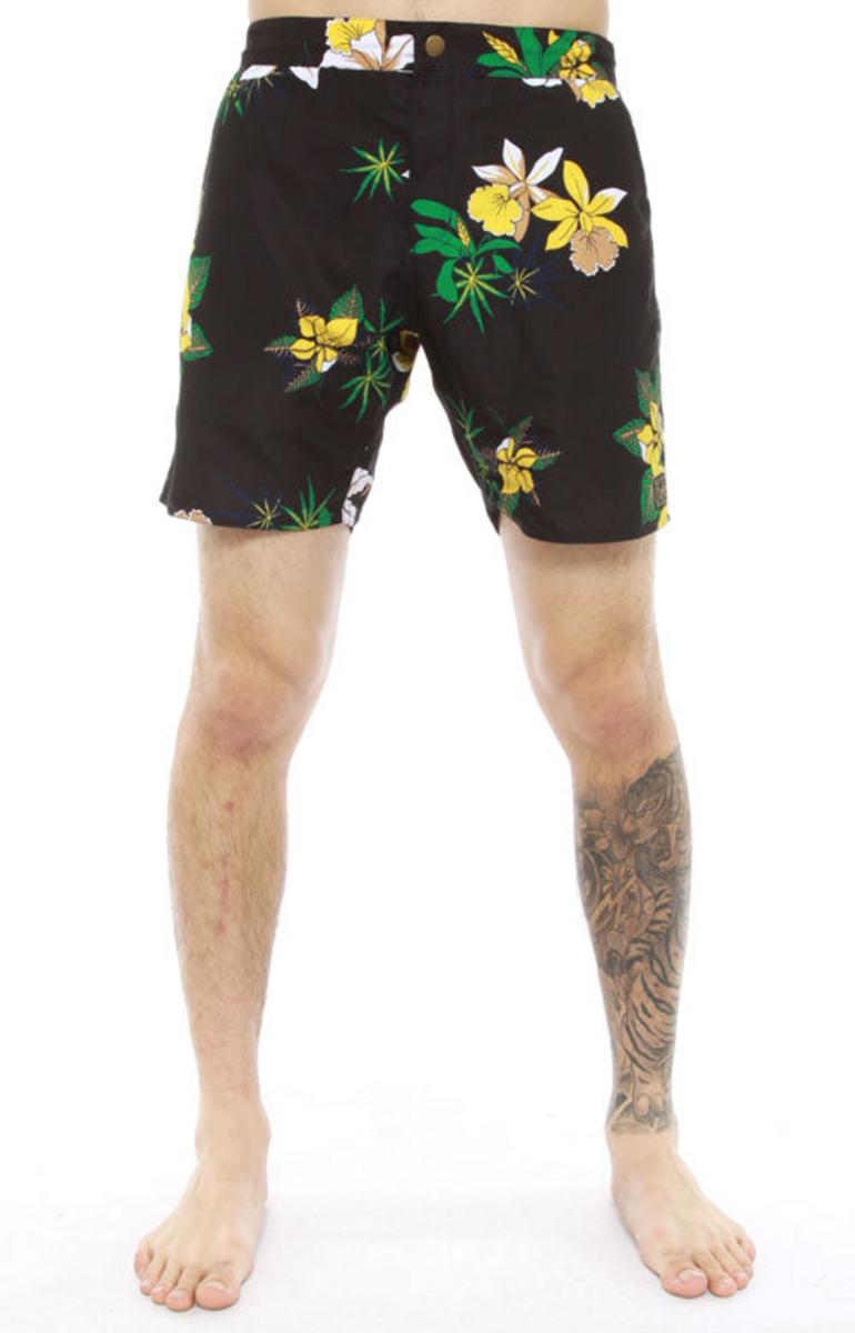 Obey's Stunning Tourist Street Trunks