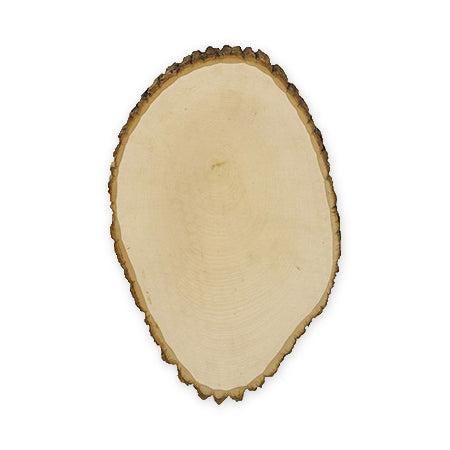 Gorgeous Large Basswood Country Rounds - Ideal for Crafts!