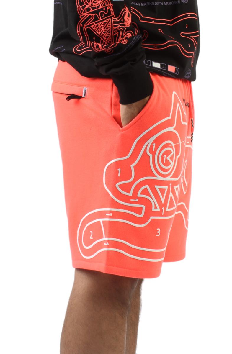 Over and Out Stylish Shorts
