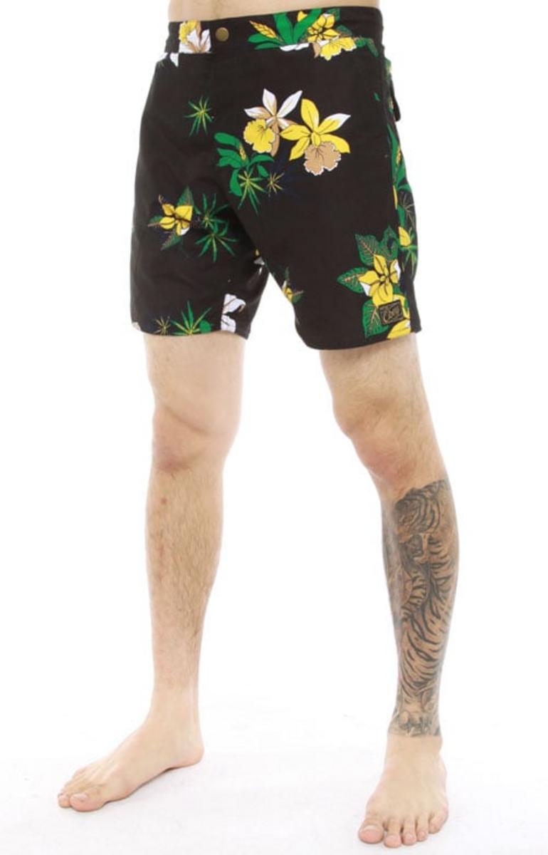 Obey's Stunning Tourist Street Trunks