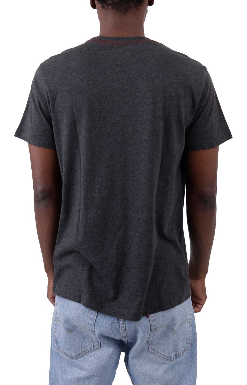 RVCA's Stunning Lion 'N' Lamb Graphic Tee