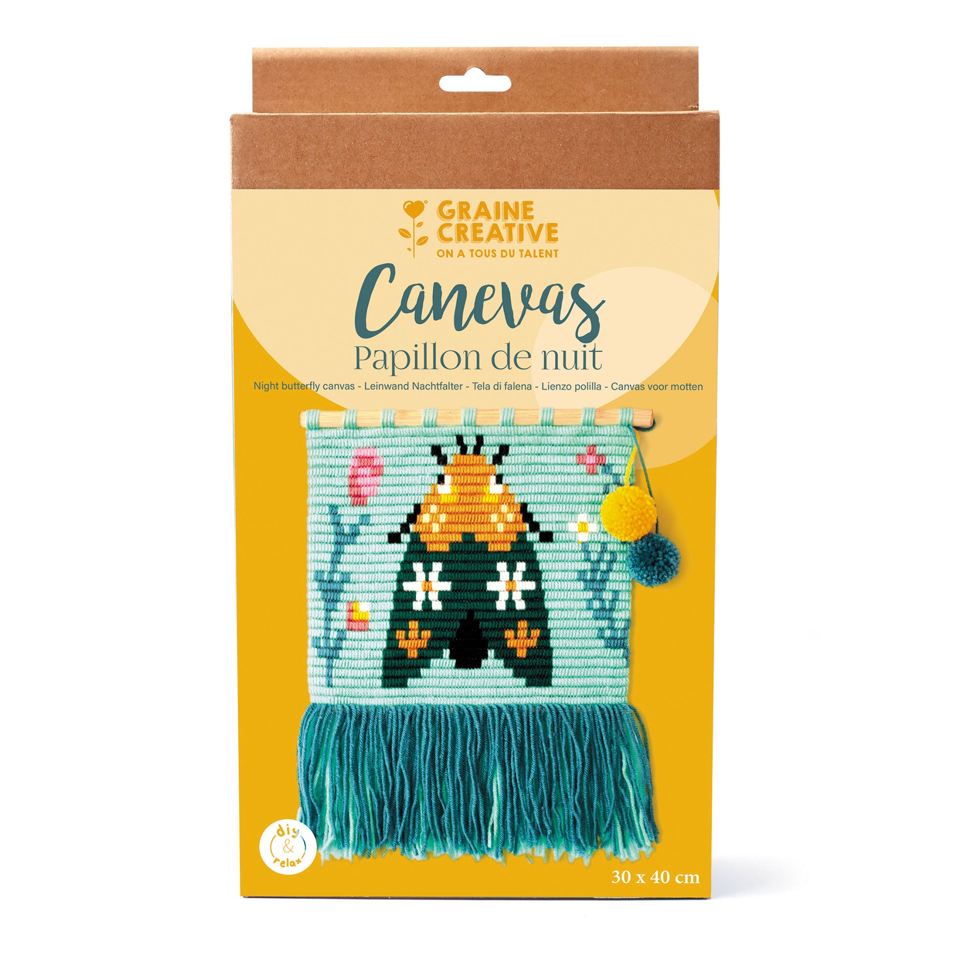 Enchanting DIY Moth Canvas Kit