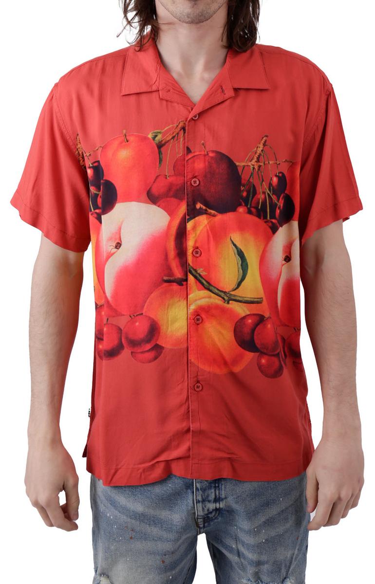 Gorgeous Fruit Bowl Woven Button - Up Shirt in Ginger Biscuit Multi
