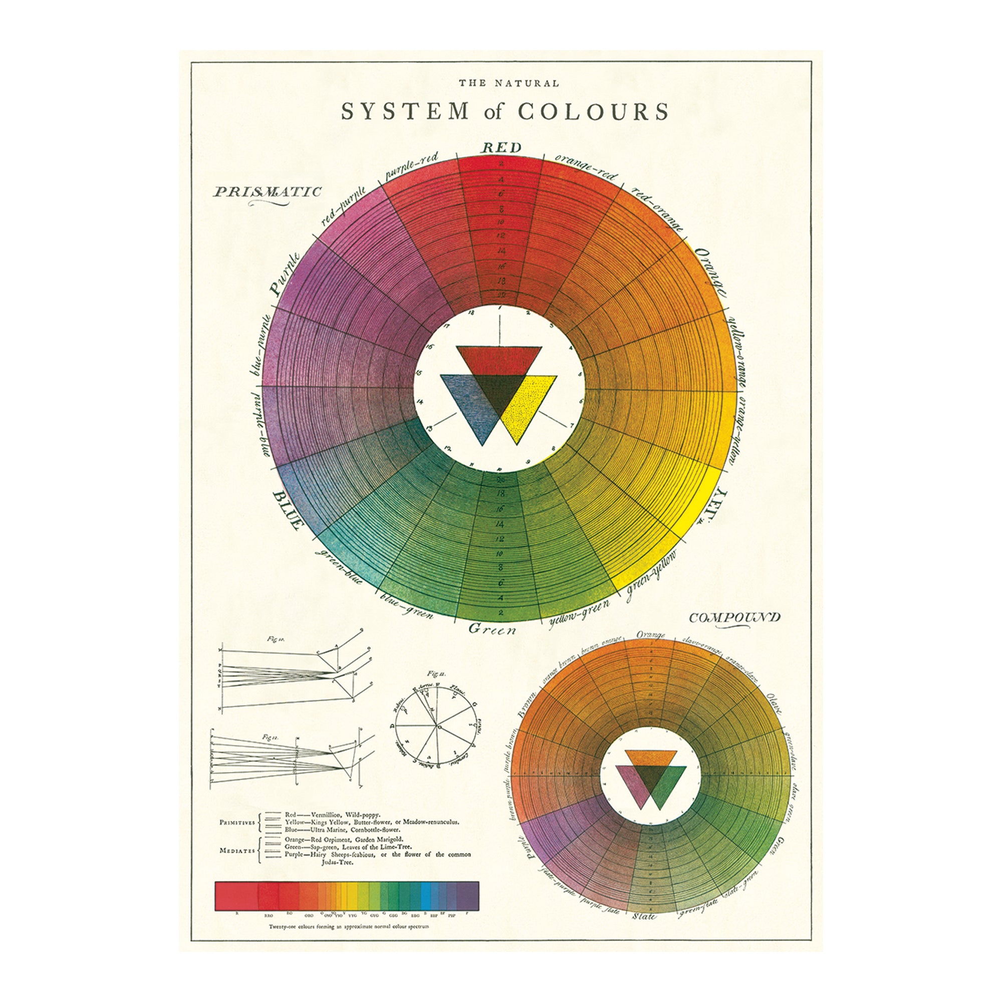 Stunning Colour Wheel Decorative Wrap