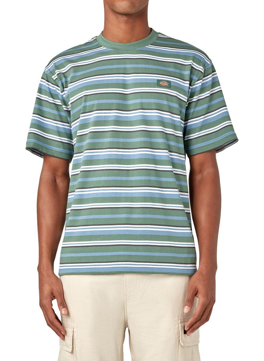 Dickies Glade Spring Coronet Blue Striped T-Shirt - Irresistible Casual Style!