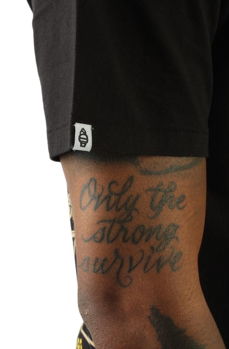 Zoom SS Knit: Urban Style Essential