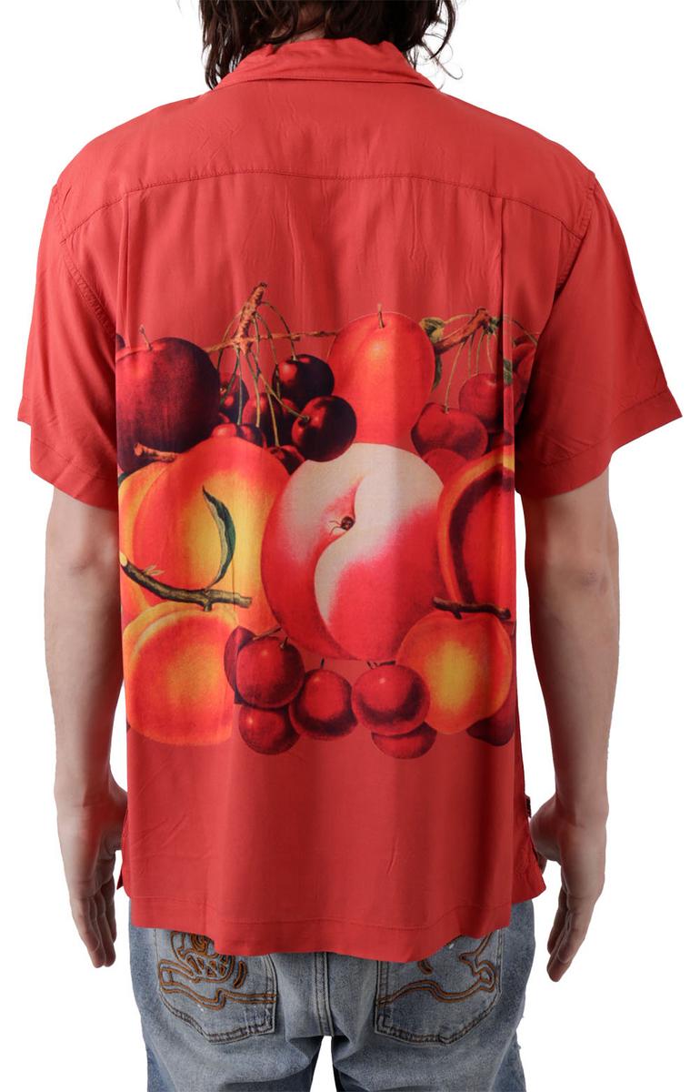 Gorgeous Fruit Bowl Woven Button - Up Shirt in Ginger Biscuit Multi