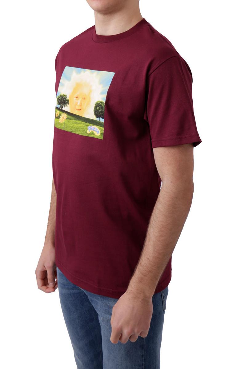 Stunning Hazzy Burgundy T-Shirt