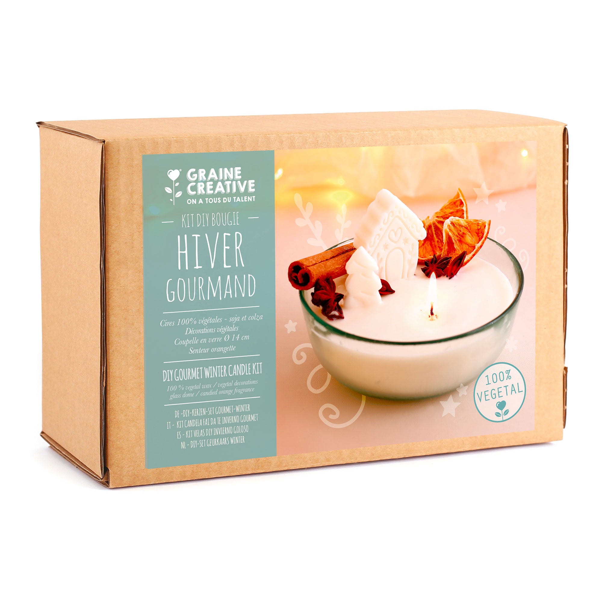 Gourmet Winter DIY Candle Kit: A Christmas Delight