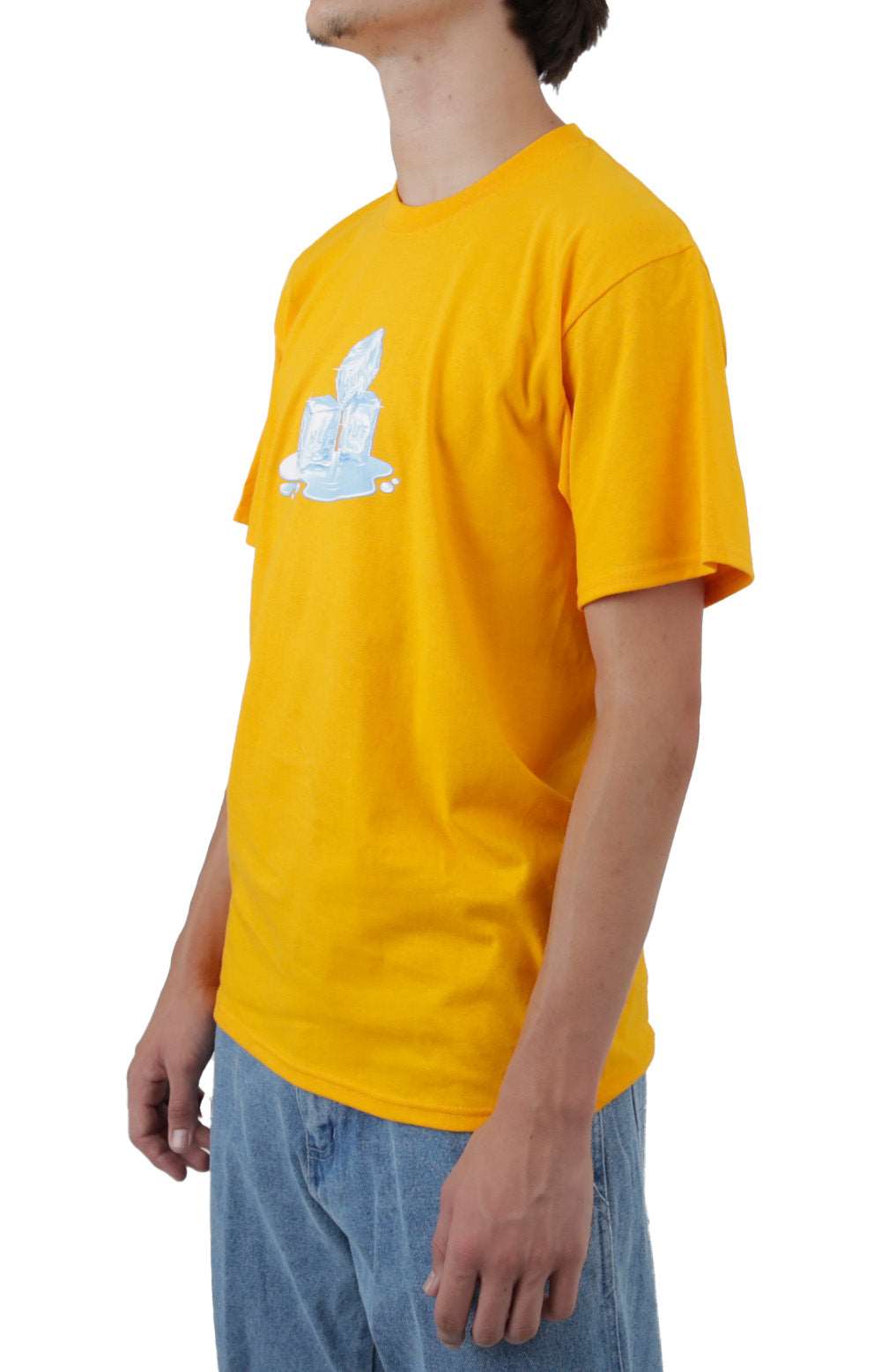 Stunning Gold On The Rocks T-Shirt