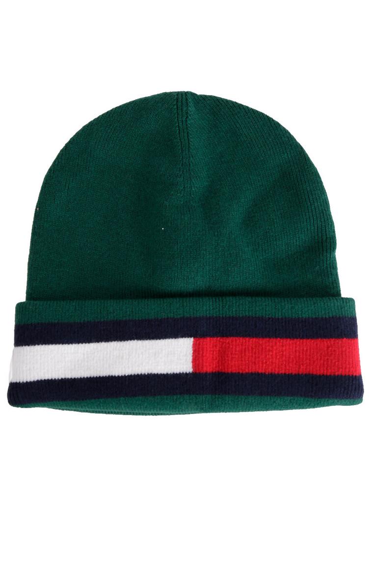 Tommy Hilfiger's Enchanting Green AM Dino Gifting Beanie